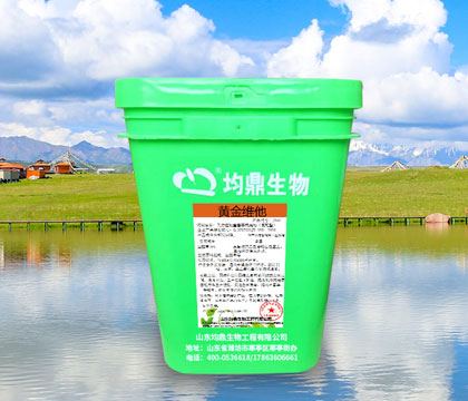 黃金維他