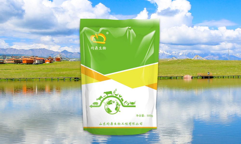 養(yǎng)寵物兔如何洗澡？